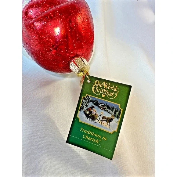 OLD WORLD CHRISTMAS Santa in Face Mask Doctor/Surgeon/Nurse Ornament Glass Blown - Picture 5 of 5